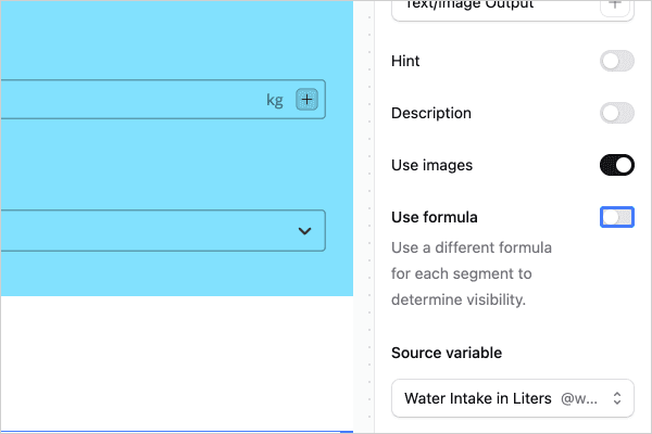 Use Formula in Segment Output